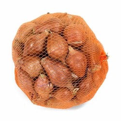 SOĞAN ARPACIK ADET.