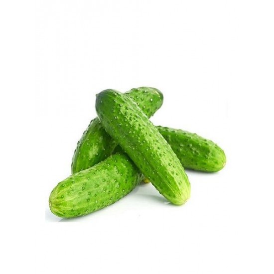 SALATALIK KORNİŞON-KG