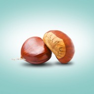 KESTANE KG [80 LİK]