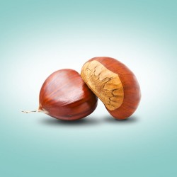 KESTANE KG [80 LİK]