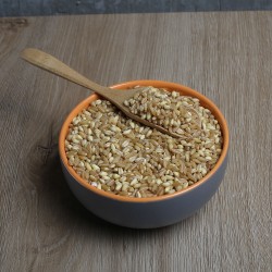 BÜTÜN YARMA KG