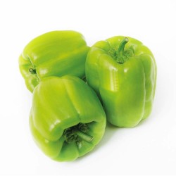 BİBER DOLMA KG