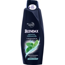 BLENDAX ŞMP 500 ML MENTOL ERKEK