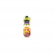 CAPPY MEYVE SUYU 1000 ML KARIŞIK