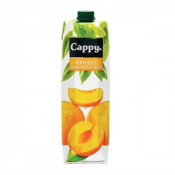 CAPPY MEYVE SUYU 1000 ML KAYISI