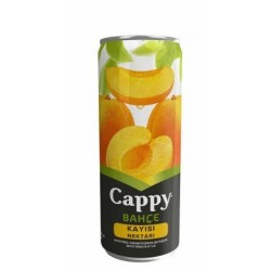 CAPPY MEYVE SUYU 330 ML KAYISI