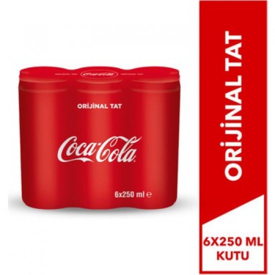 COCA COLA 250 ML.6 LI KUTU