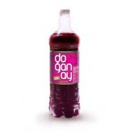 DOĞANAY ŞALGAM 2 LT SADE