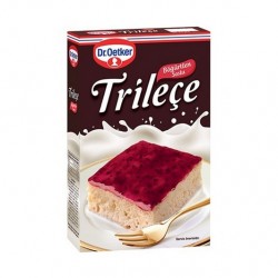 DR OETKER KUTU TRİLEÇE 315 GR BÖĞÜRTLEN