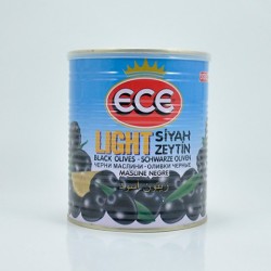 ECE S.Z.400 GR LIGHT