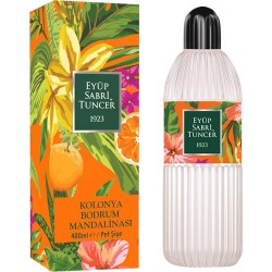 EYÜP SABRİ 400 ML PET BODRUM MANDALİNA