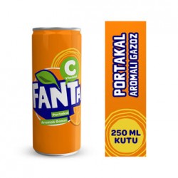 FANTA 250 ML.KUTU