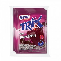 KENT BORİNGER TRİX 9 GR VİŞNE