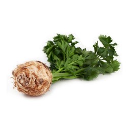 KEREVİZ-KG