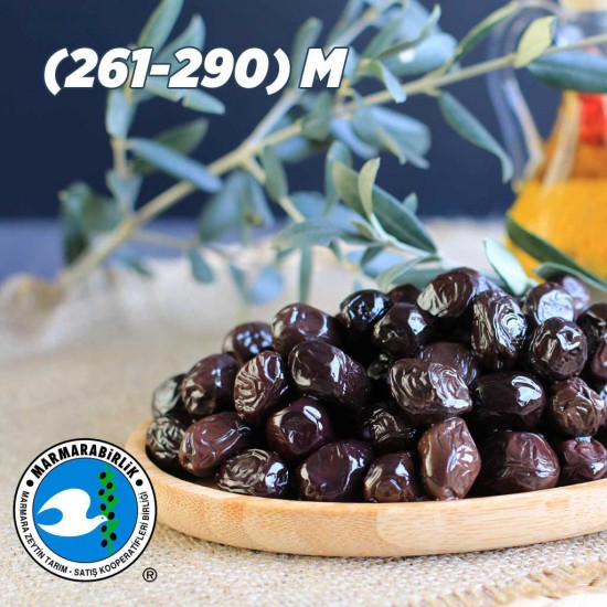M.BİRLİK SİYAH ZEYTİN KG M (260-290) M.BİRLİK SİYAH ZEYTİN KG M (260-290)
