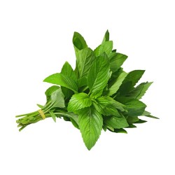 NANE BAĞ [MANAV]