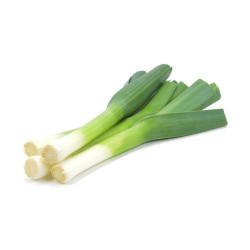 PIRASA-KG